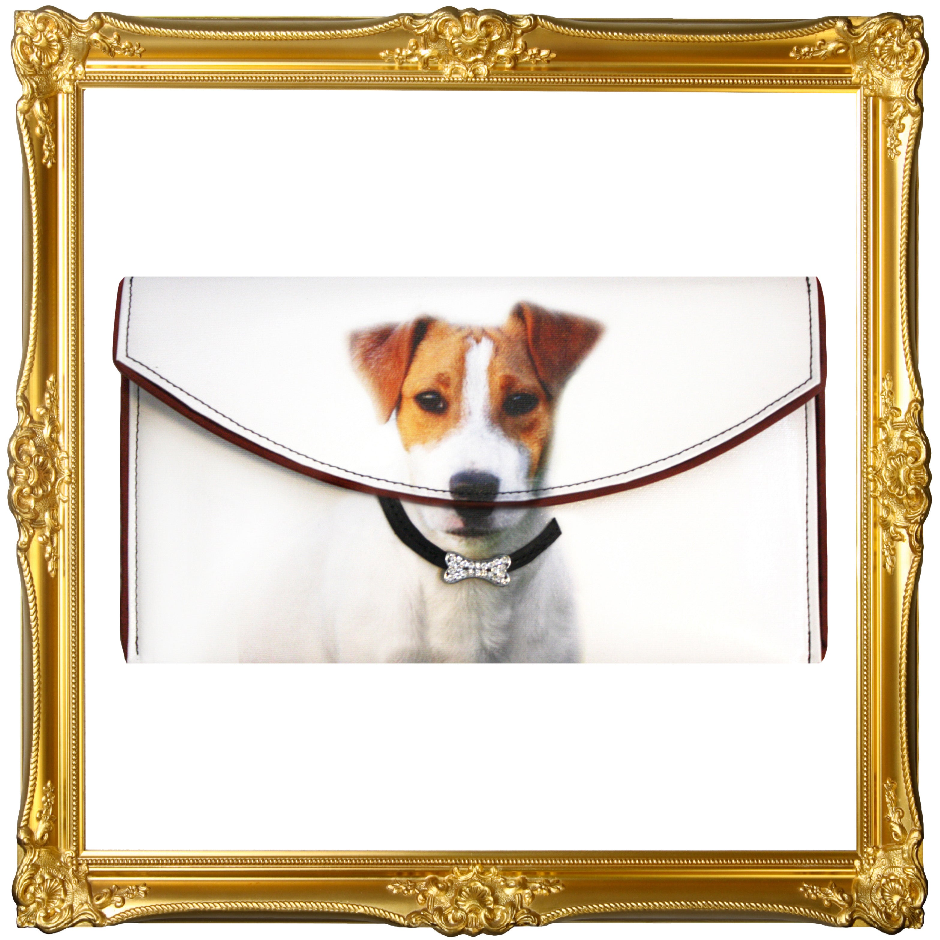 Jack Russell Terrier