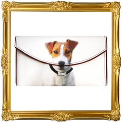Jack Russell Terrier