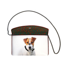 Jack Russell Terrier