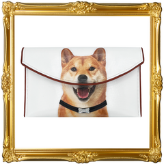 Shiba Inu